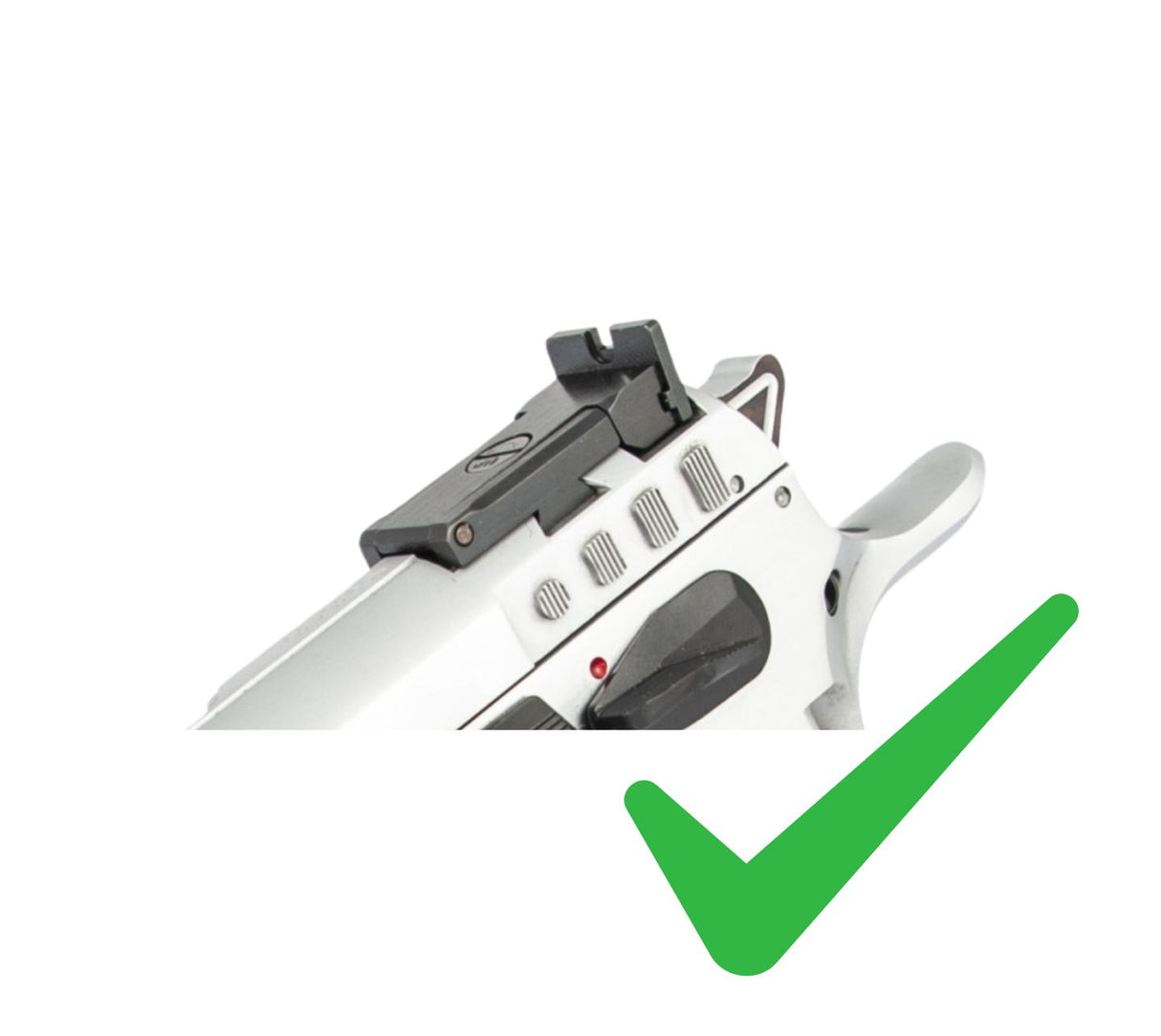 Tanfoglio Schwalbenschwanz-Ausfräsung