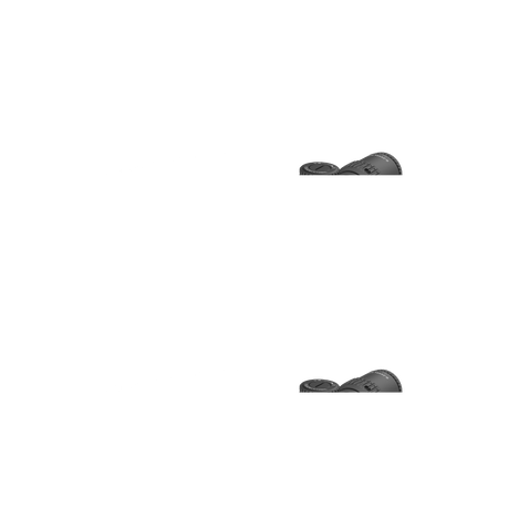 Vector Optics Veyron 6-24x44IR SFP kompaktes Zielfernrohr